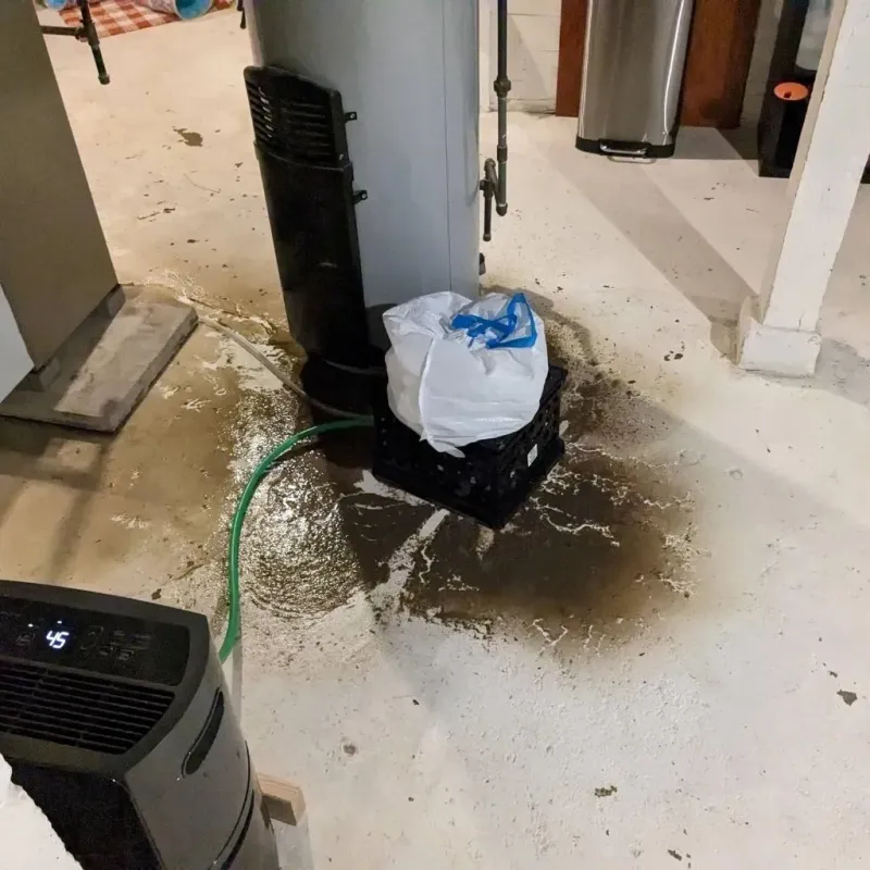 Sewage Backup Cleanup Service in Mowbray Mountain, TN
